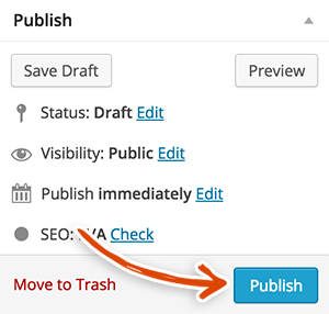 edit-portfolio-item-publish-button