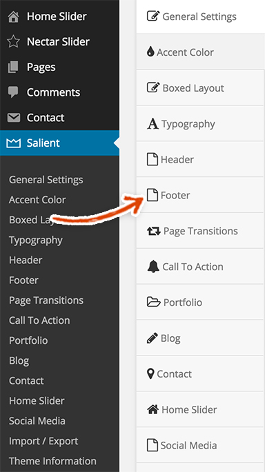 salient-theme-footer-settings