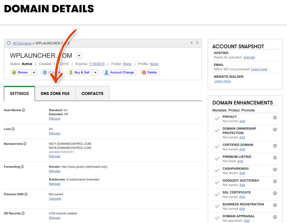 godaddy-domain-details-dns