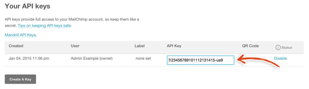 mailchimp-api-key