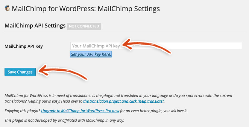 mailchimp-wordpress-plugin-settings-api-key