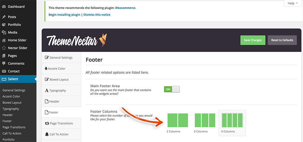 salient-footer-settings