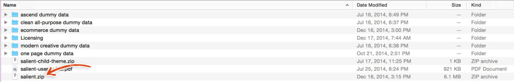 salient-theme-zip-file