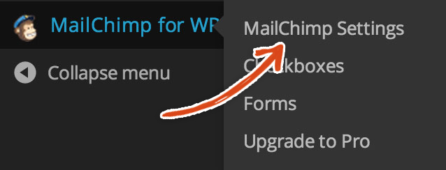 wordpress-mailchimp-plugin-settings