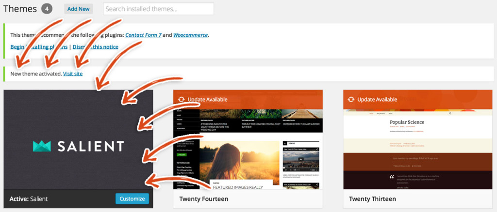 wordpress-salient-theme-installed